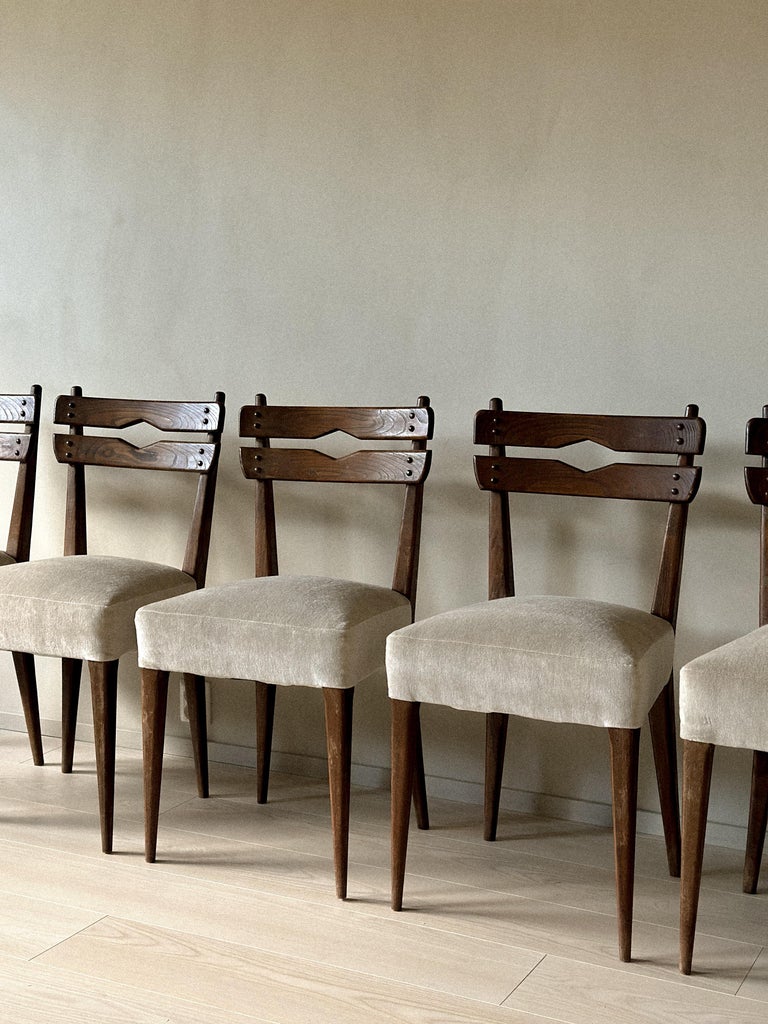 Angled group view of mid-century dining chairs, 1950s