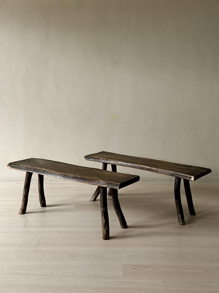 A Pair of Brutalist Wabi Sabi Benches, France, circa 1960s