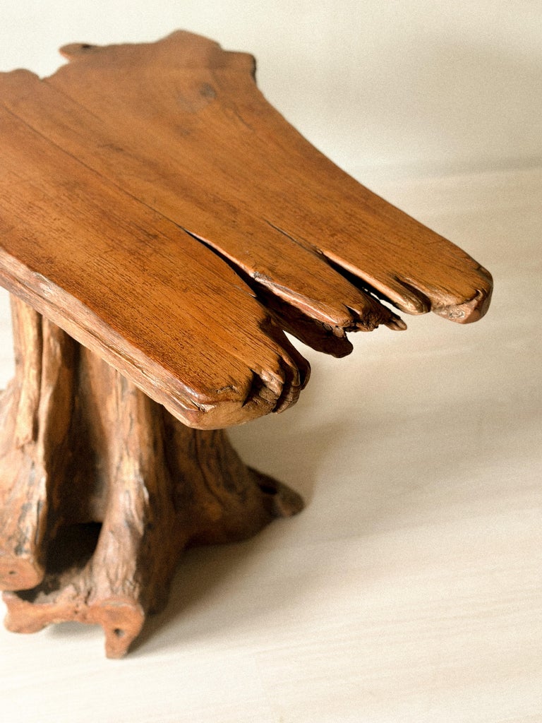 Sculptural Root Dining Table, Brutalist Style, Late 20th Century - Image 10