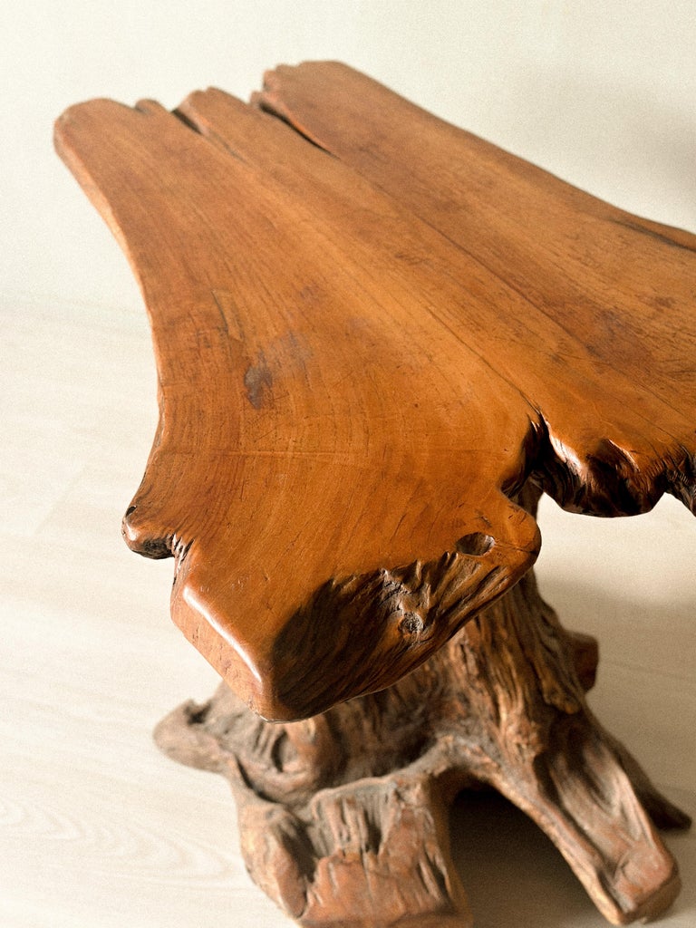 Sculptural Root Dining Table, Brutalist Style, Late 20th Century - Image 8