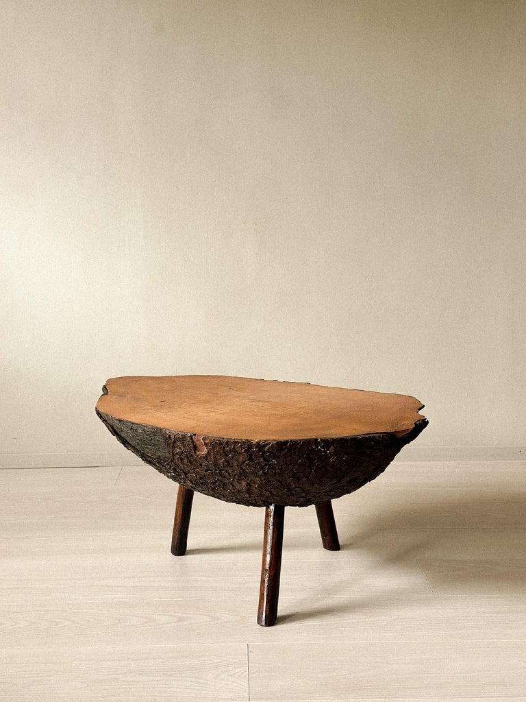 Brutalist Tree Trunk Side Table, Spain, c. 1960s - Image 11