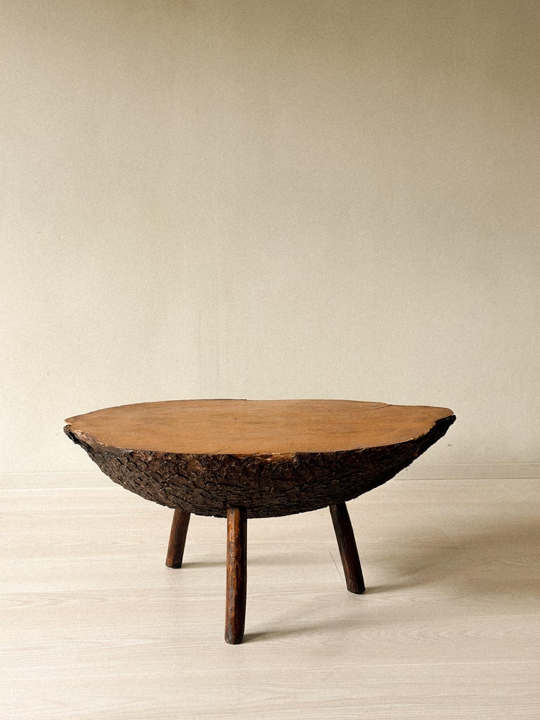 Brutalist Tree Trunk Side Table, Spain, c. 1960s - Image 10