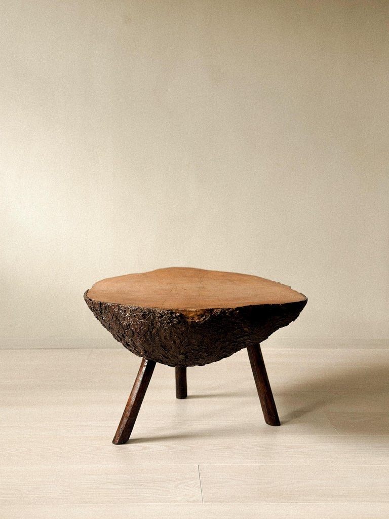 Brutalist Tree Trunk Side Table, Spain, c. 1960s