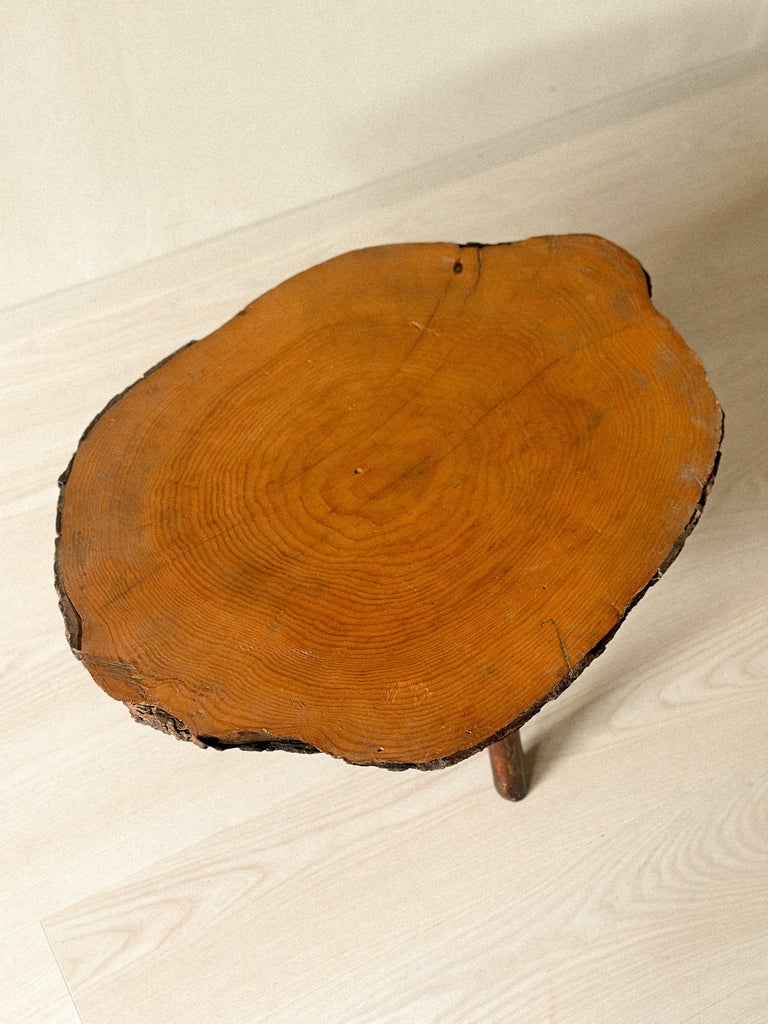Brutalist Tree Trunk Side Table, Spain, c. 1960s - Image 9