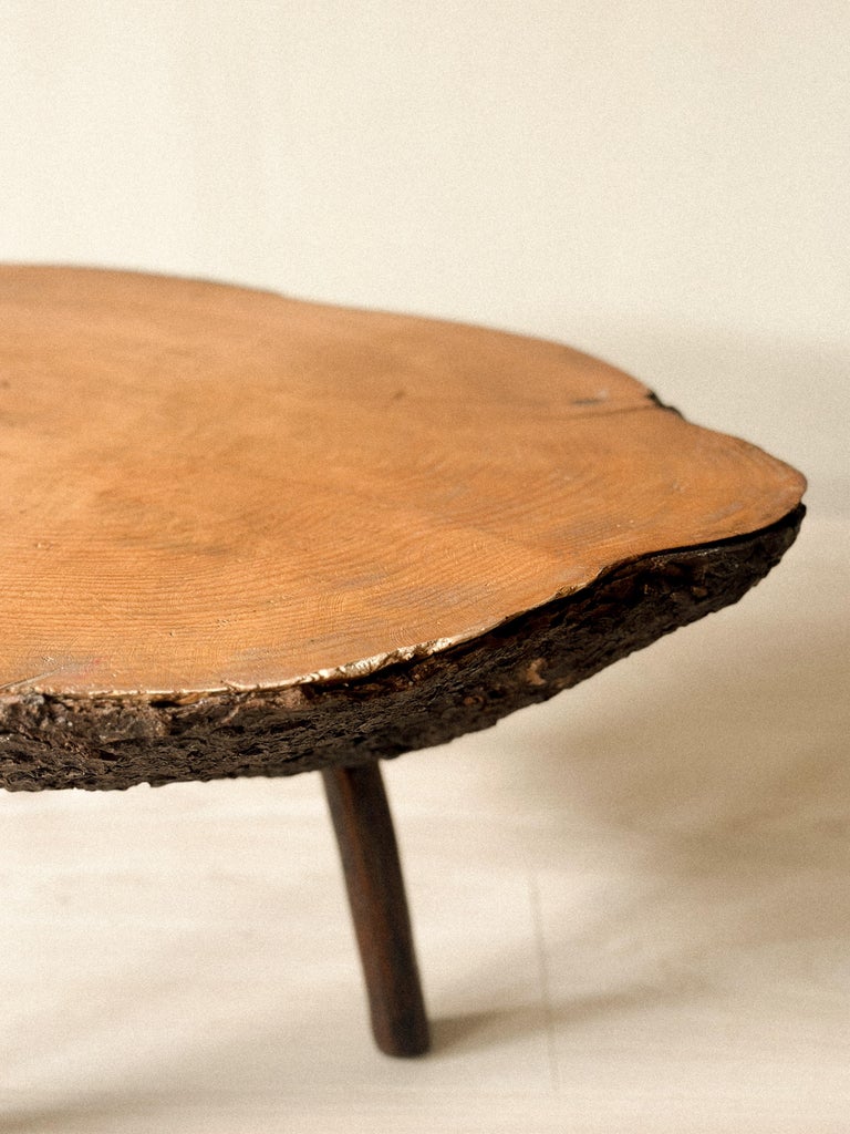 Brutalist Tree Trunk Side Table, Spain, c. 1960s - Image 8