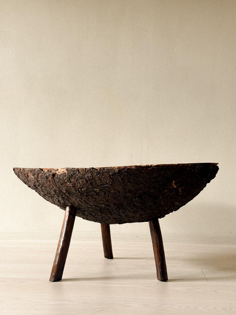 Brutalist Tree Trunk Side Table, Spain, c. 1960s - Image 7