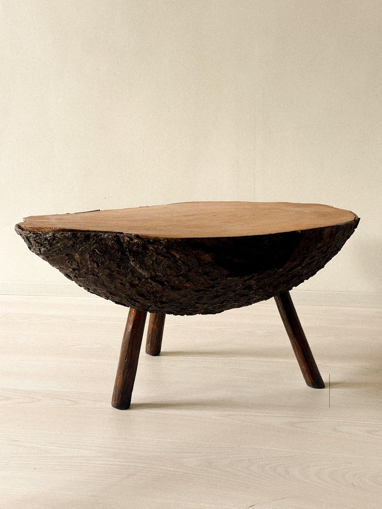 Brutalist Tree Trunk Side Table, Spain, c. 1960s - Image 6