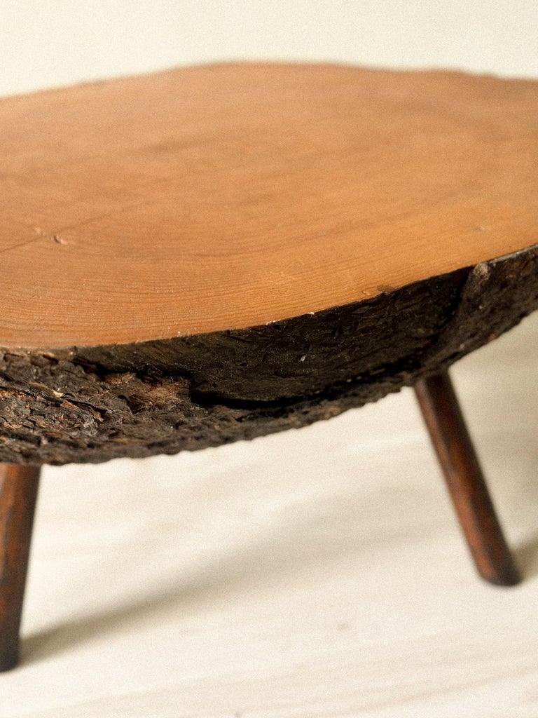 Brutalist Tree Trunk Side Table, Spain, c. 1960s - Image 3