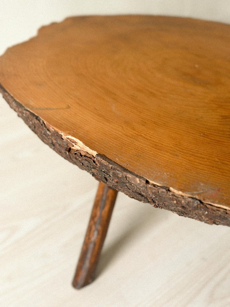 Brutalist Tree Trunk Side Table, Spain, c. 1960s - Image 13