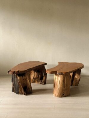 Pair of Brutalist Root Tables, late 20th century