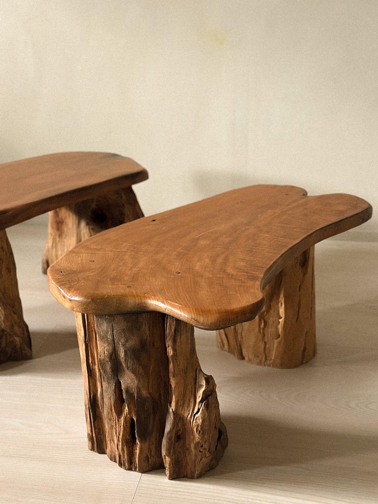 Pair of Brutalist Root Tables, late 20th century - Image 7