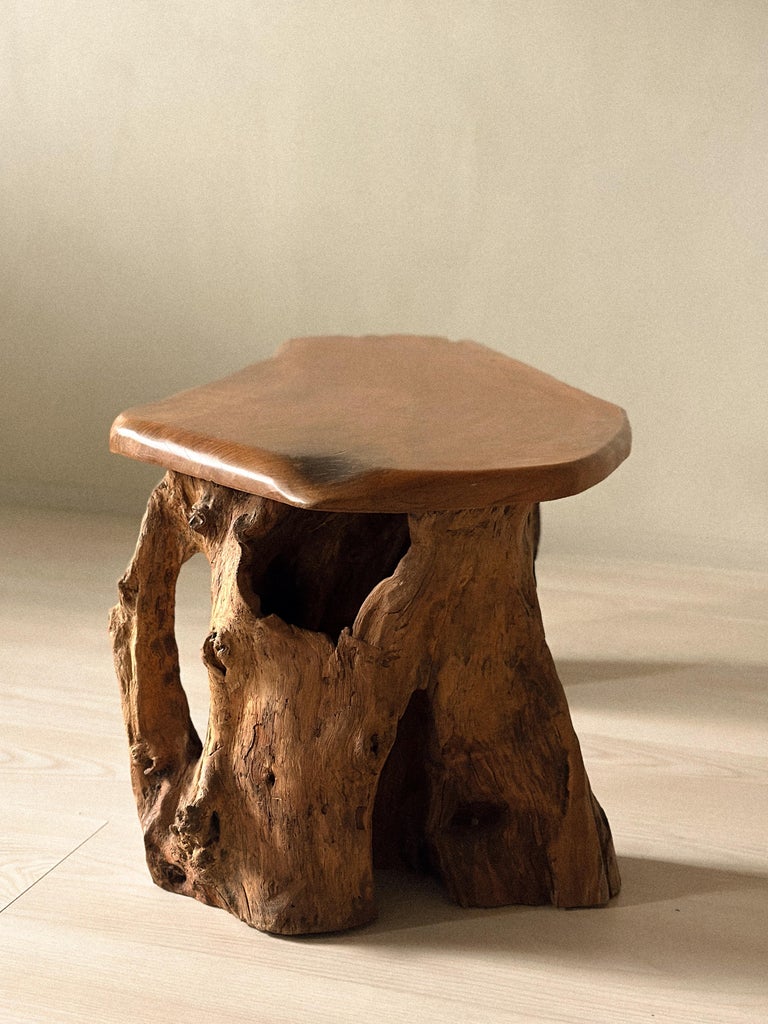 Pair of Brutalist Root Tables, late 20th century - Image 3
