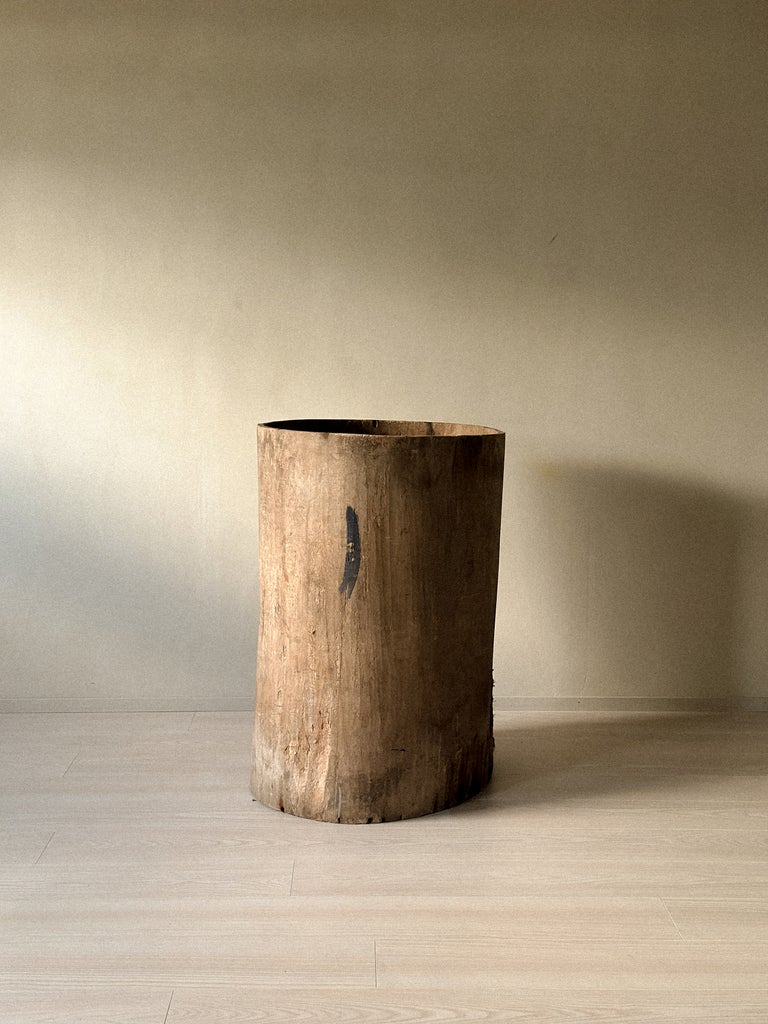 A Massive Hollowed Tree-Trunk Planter, Scandinavia c. 19th Century - Image 2