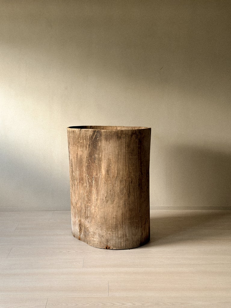 A Massive Hollowed Tree-Trunk Planter, Scandinavia c. 19th Century - Image 3