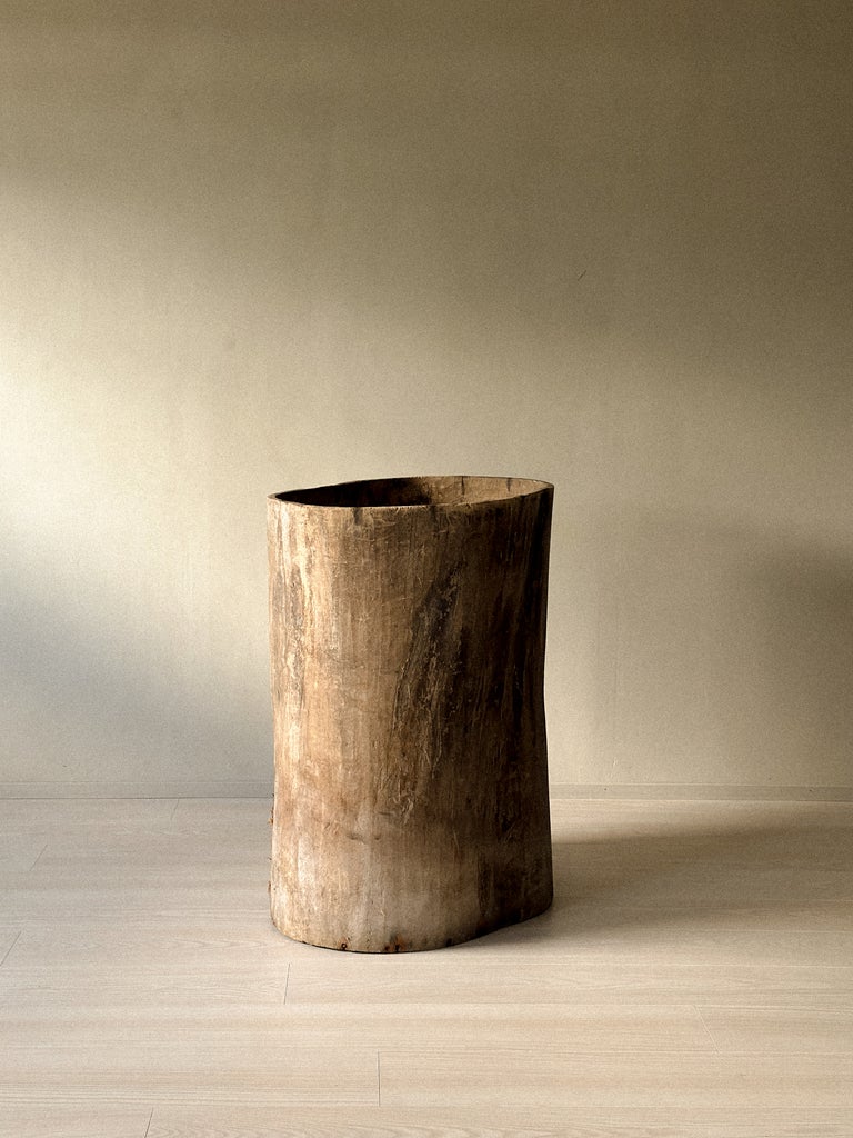 A Massive Hollowed Tree-Trunk Planter, Scandinavia c. 19th Century - Image 4