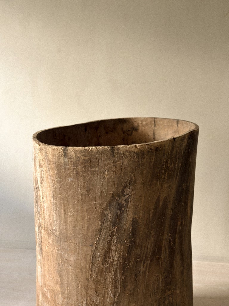 A Massive Hollowed Tree-Trunk Planter, Scandinavia c. 19th Century - Image 8