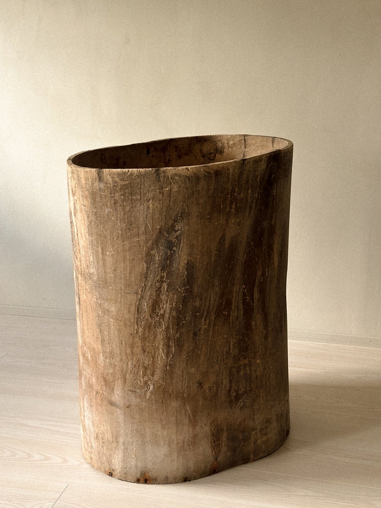 A Massive Hollowed Tree-Trunk Planter, Scandinavia c. 19th Century - Image 7