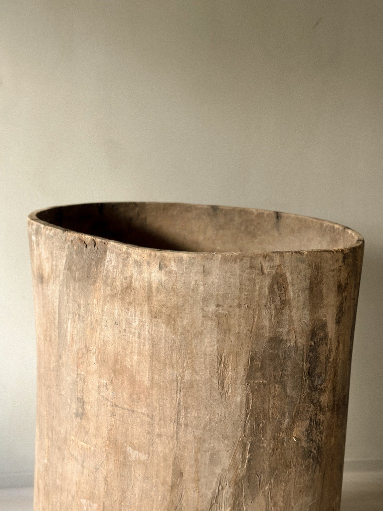 A Massive Hollowed Tree-Trunk Planter, Scandinavia c. 19th Century - Image 5