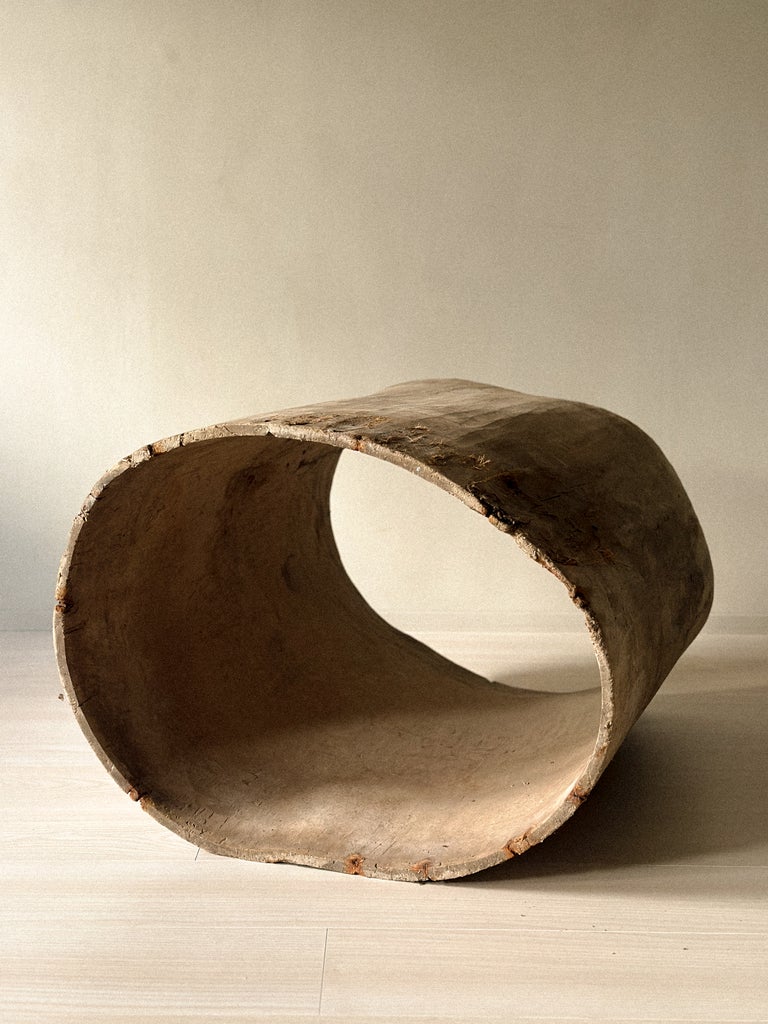 A Massive Hollowed Tree-Trunk Planter, Scandinavia c. 19th Century - Image 9